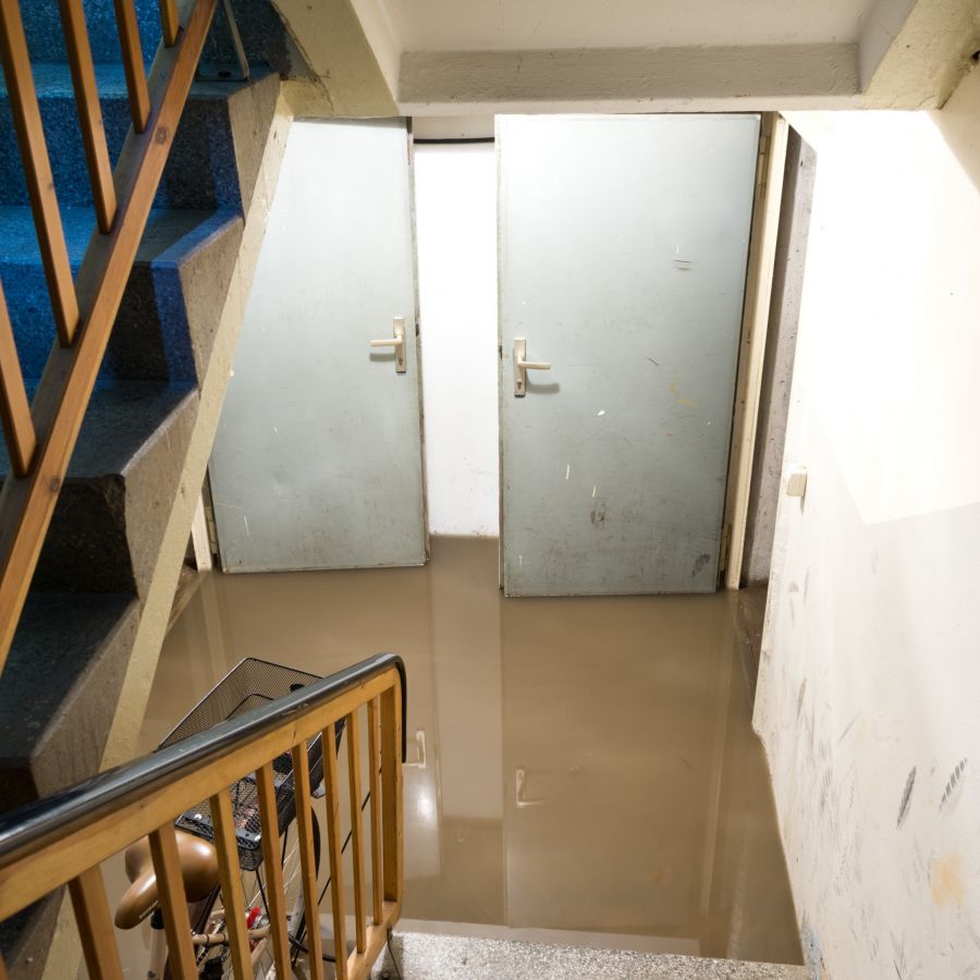 Basement Flood by Michigan Fire & Flood Inc