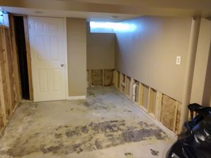 Mold Removal in Lenox by Michigan Fire & Flood Inc